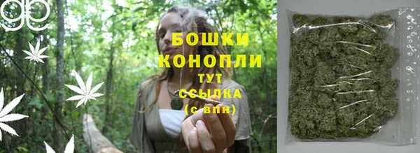 винт Аркадак